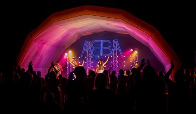 Abba by Moonlight performing with night crowds in foreground