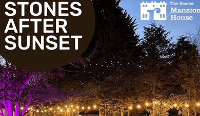 Trees at Calderstones park in the night time full of lights.