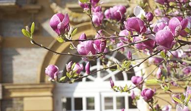Giant Book Sale at Hestercombe