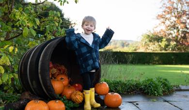 October Half Term Trail: Jock's Pumpkin Party