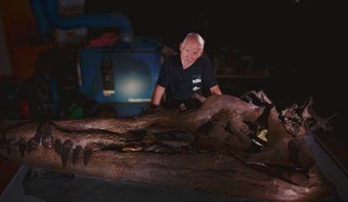 Dr Steve Etches MBE with Pliosaur Skull