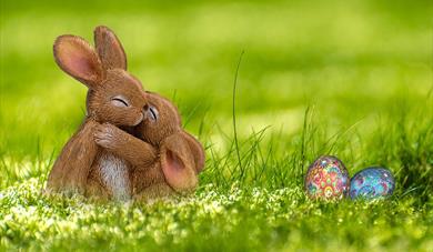 Easter bunnies hugging