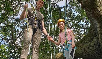 Discover Tree Climbing
