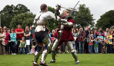 Grand Medieval Mêlée