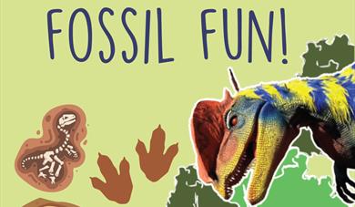 Dino Day and Fossil Fun!