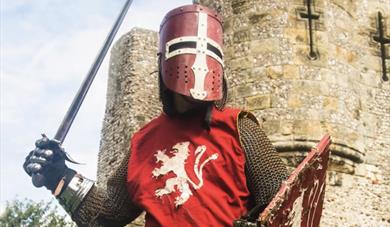 Knight in armour, battle ready