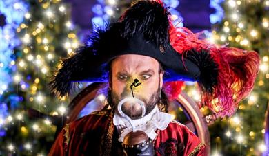 Christmas at Blenheim 2024