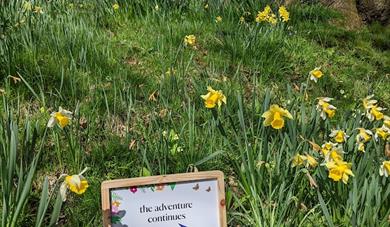 Easter egg hunt at Petworth House and Park