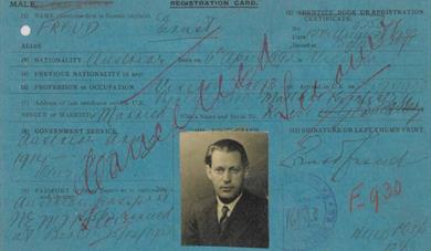 From Strangers to Citizens: Immigration and citizenship records