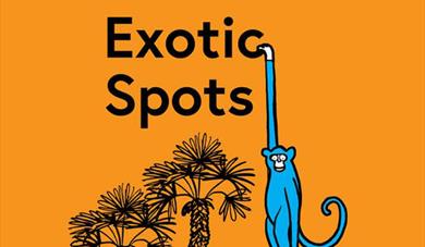 Exotic Spots Trail at Sheffield Park and Garden
