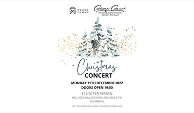 image detailing information written above