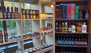 Half Term Fun at Corris Caverns