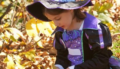 Elizabeth Ilive's Hair-raising Laboratory Trail