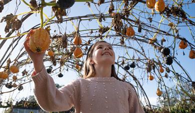 Halloween Potions Trail with Wilma the Witch