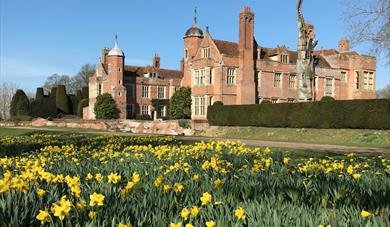 Kentwell Hall Lambs & Spring Bulbs