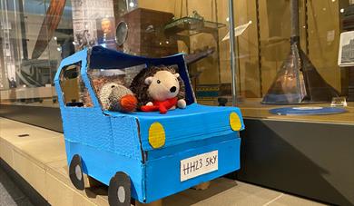 Hedgehog Hideaway Trail