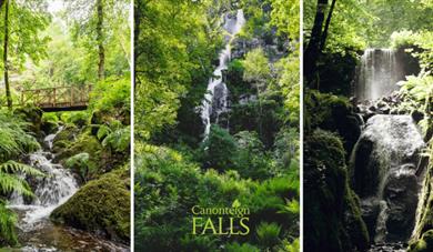 Canonteign Falls Fern Day