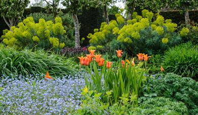 Loseley Spring Garden Show