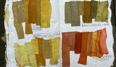 Art in Nature Community Workshop