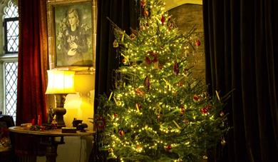 Christmas at Nymans: The Lion, The Witch and The Wardrobe