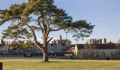 Book Club at Knole