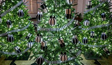 Wonderland Christmas at The Vyne