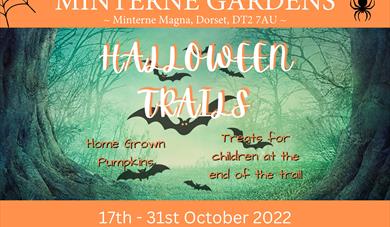 Minterne gardens halloween trails