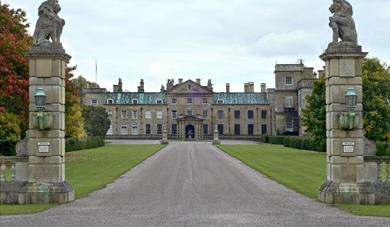 Welbeck Abbey State Room Tours