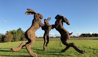 Sophie Ryder at The Piece Hall