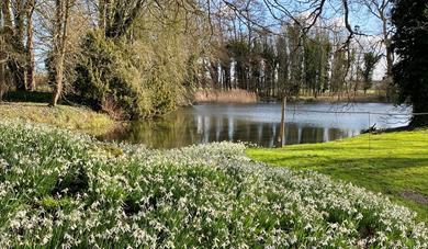 Eythrope Parkland Tours