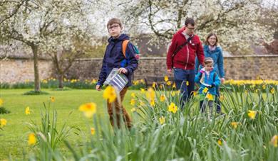 Signs of Spring Family Trail at Emmetts Garden - National Trust