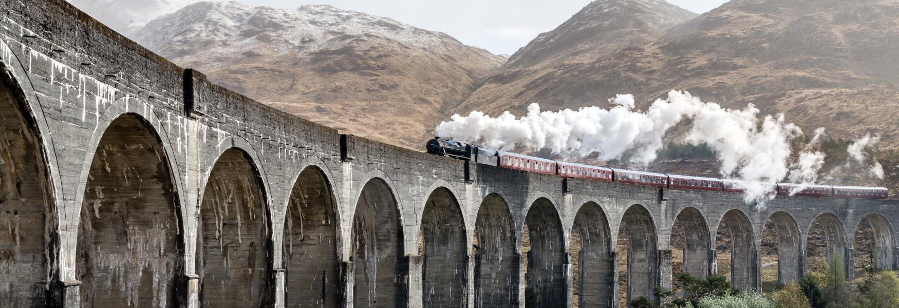 viaduct and train