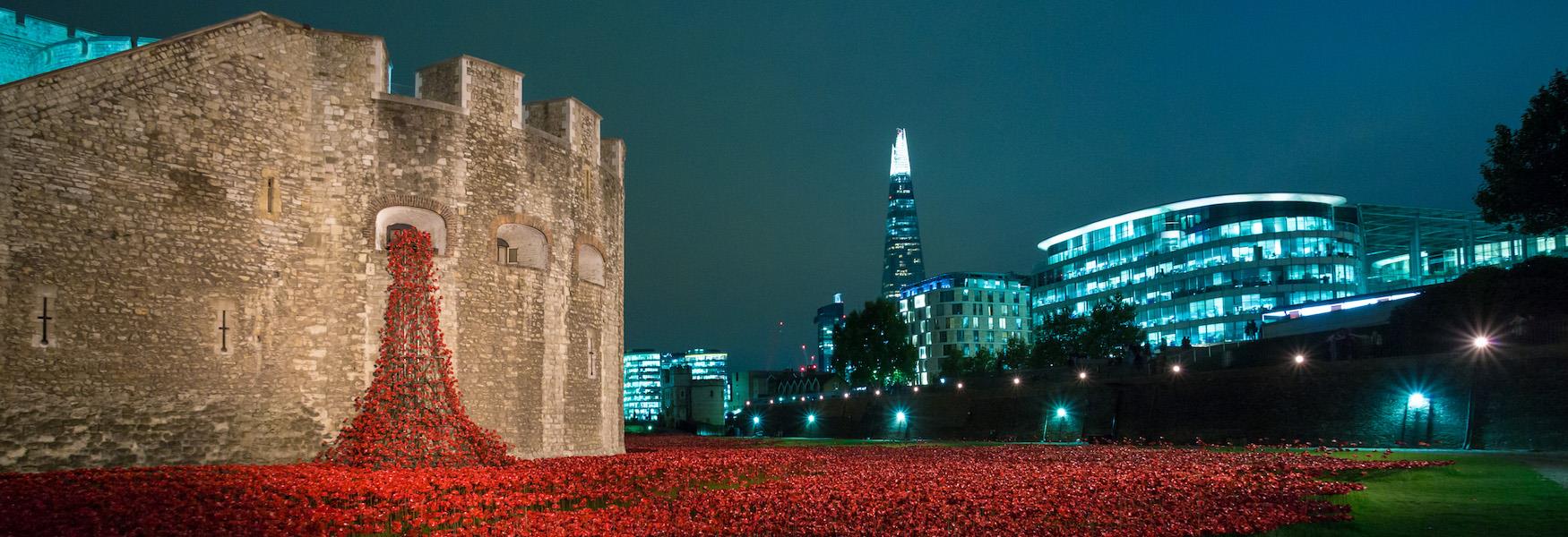 Tower of London poppies