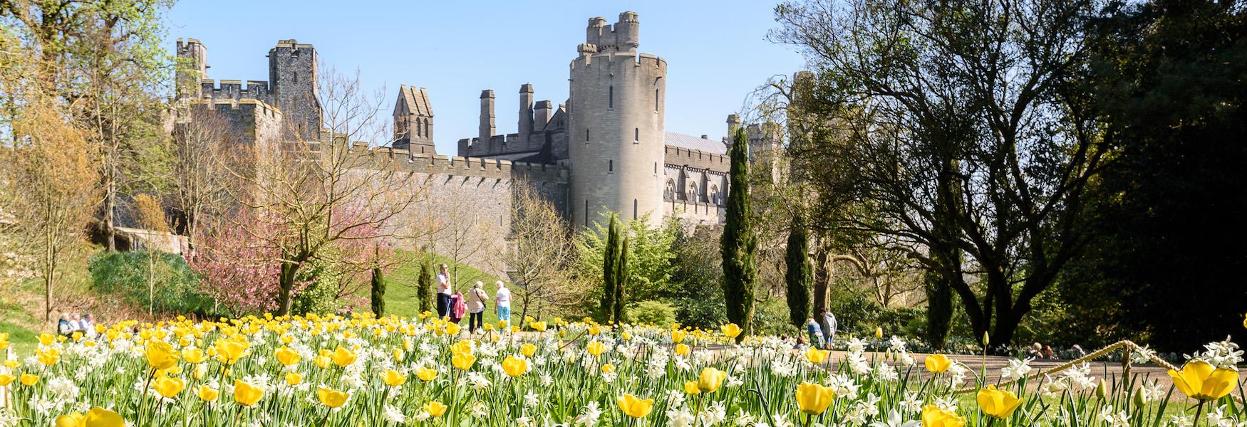 Arundel Tulip Festival