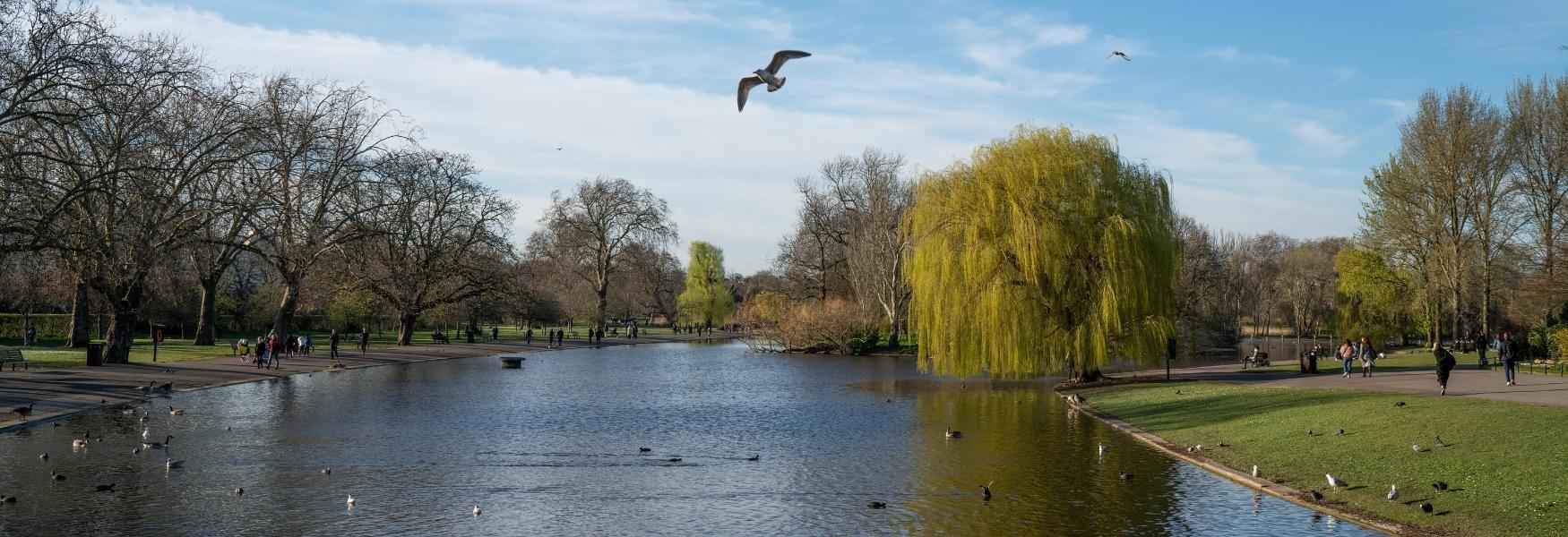 parks and gardens