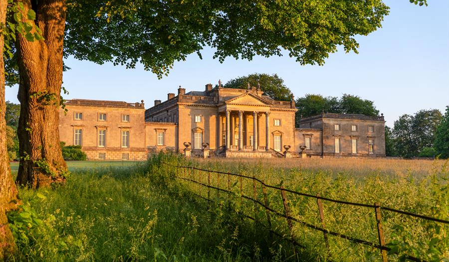 Stourhead at dawn