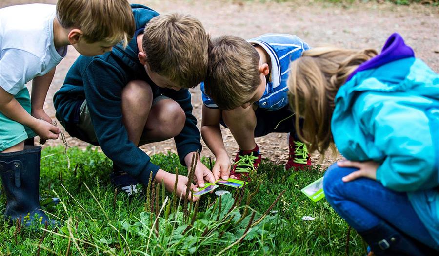 children crouching and gazing at objects on grass outside