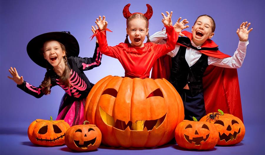 Children dressed in Halloween clothing