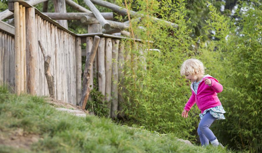 Summer of Play at The Vyne National Trust