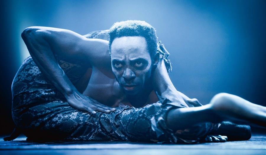 Circus of Horrors