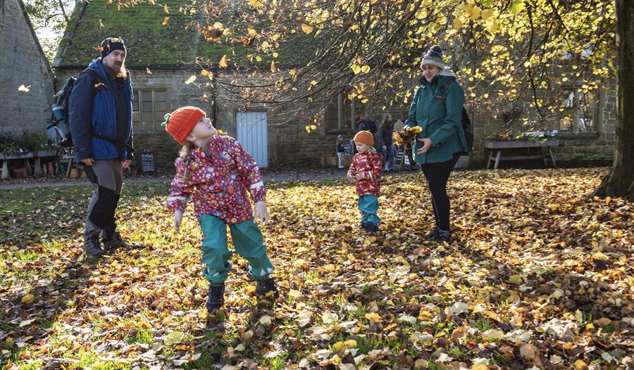 October Half Term at Hardwick