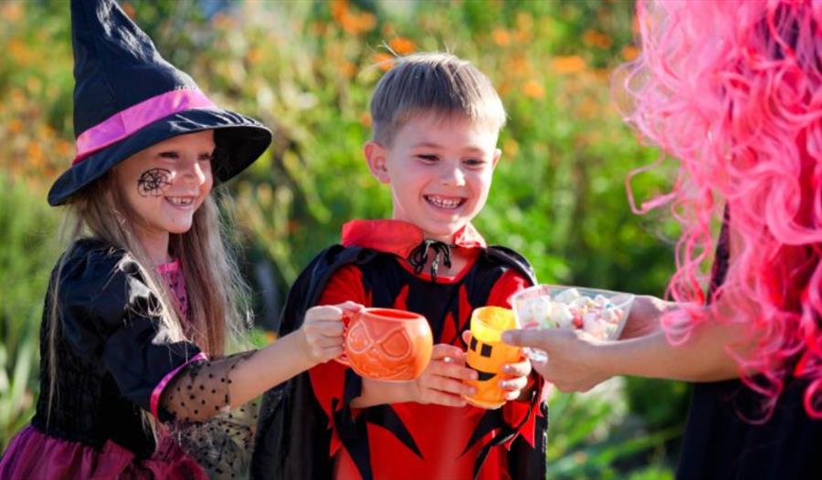 Children in Halloween costumes collecting some sweets