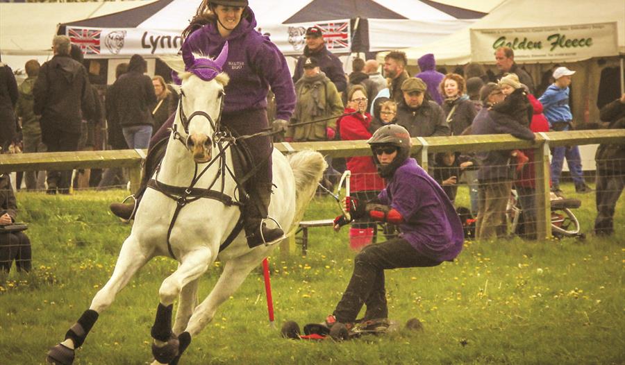 Wiltshire Game & Country Fair