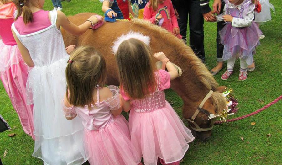 Princesses,kings,ponies,introduction to ponies,family friendly events