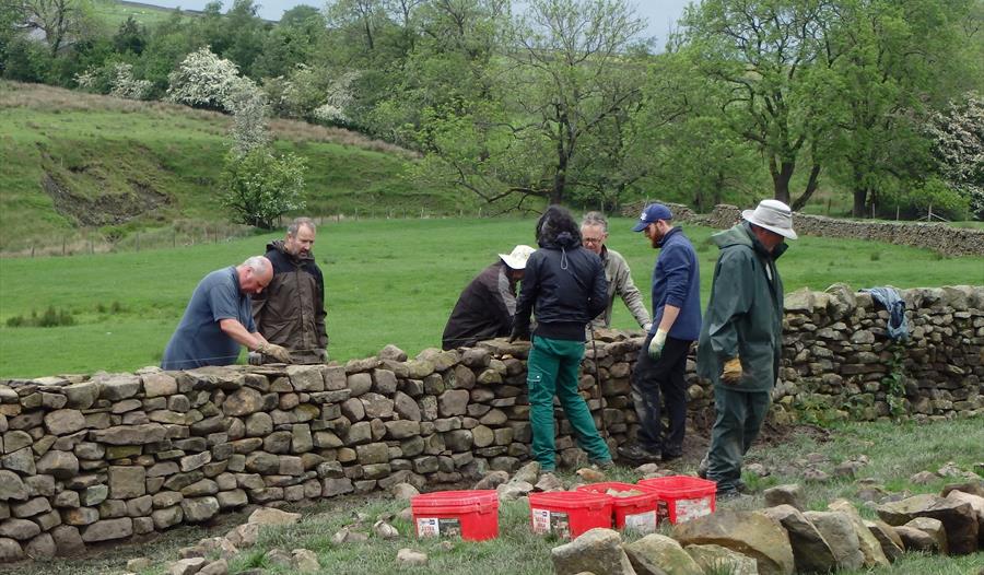 Wyre Conservation Days - Stone Walling