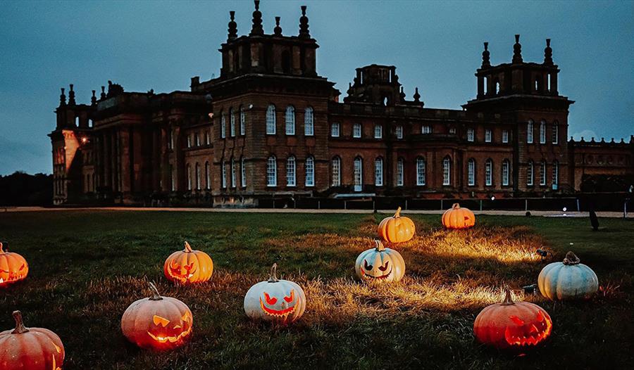 Halloween at Blenheim Palace, Blenheim Palace, Light Trail; Illuminated trail