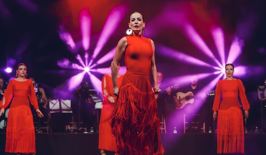 Flamenco Fire - Dartington Trust