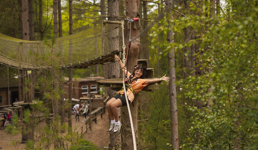 Summer fun at Go Ape Haldon Forest