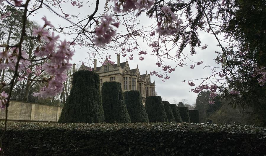 Burns Night at The Hall