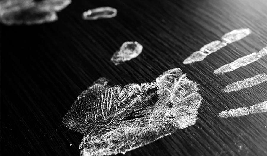 Murder Mystery